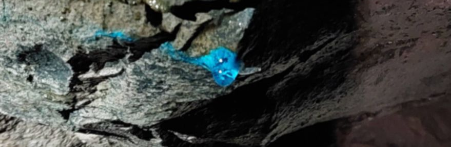 Hallan una extraña sustancia azul brillante en lo profundo de una mina del siglo XIX