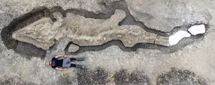 Encuentran el fósil más completo de un «dragón marino» en una laguna