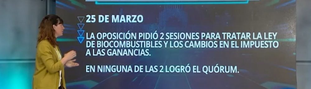 Las leyes que marcaron el año parlamentario en la Cámara de Diputados