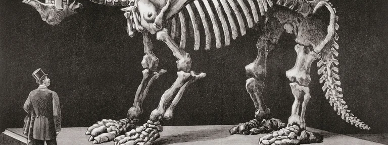 El megaterio de Luján: la “gran bestia” que habitó la pampa antes que el indio y el gaucho
