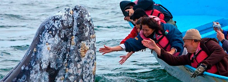 Lammens anunció financiamiento internacional para desarrollar el turismo de naturaleza