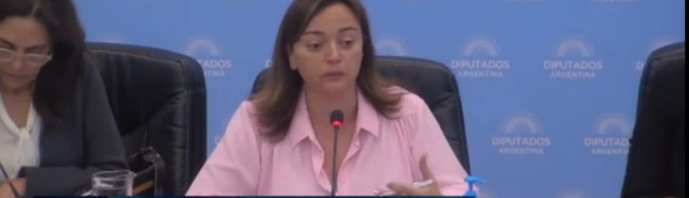 Diputados avanza en el debate de la Ley de Alquileres