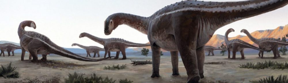 Descubrieron el primer nido de titanosaurios de 80 millones de años