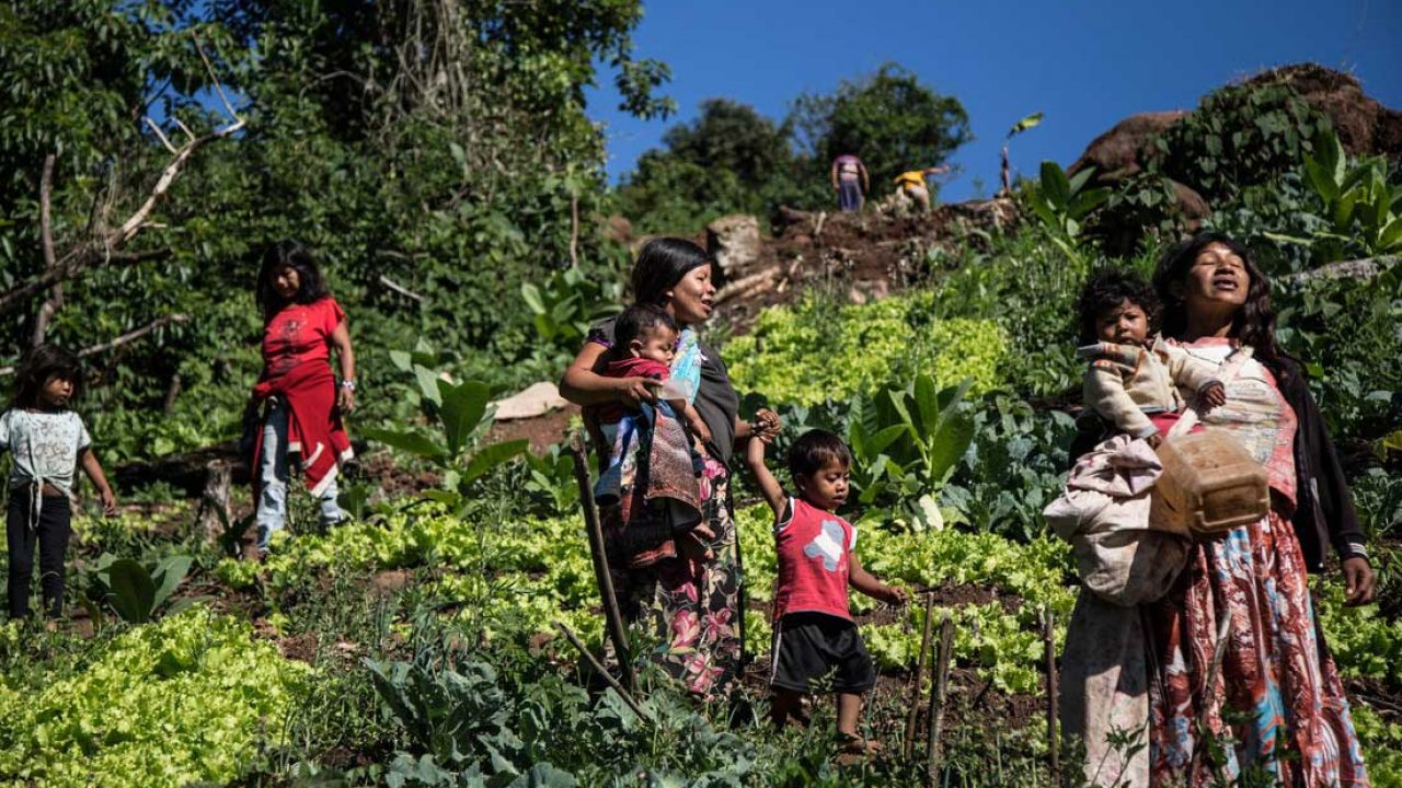 Un argentino en Brasil en la Triple Frontera: Comunidades aborígenes en la  tierra colorada | Diario de Cultura