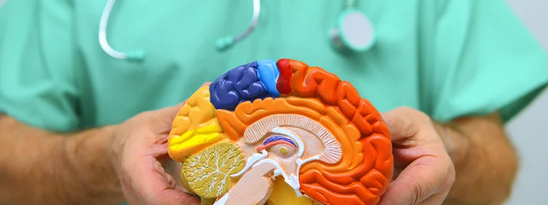 11 estrategias para mejorar la salud del cerebro y evitar el Alzheimer