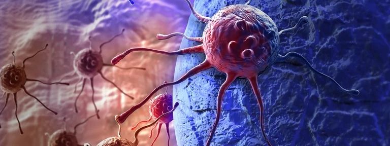La ciencia avanza contra el cáncer: prueban con éxito en animales una vacuna para eliminar tumores resistentes