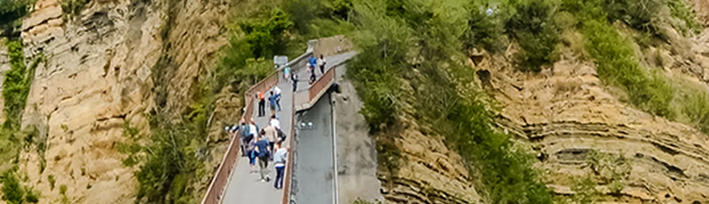 Italia: de la agonía al boom, el pueblo con más gatos que personas que ahora cobra entrada a los turistas