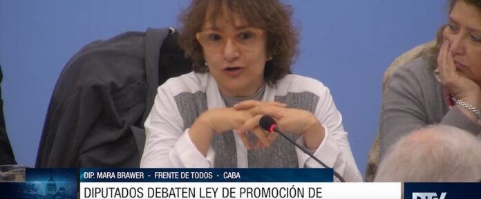 Diputados: obtuvo dictamen la Ley de Promoción de la Bío y Nanotecnología