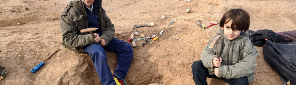 En Santa Clara del Mar, un niño de 8 años encontró en la costa un cráneo de un animal prehistórico