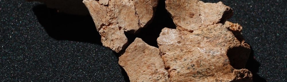 Extraordinario hallazgo en una cueva española: arqueólogos encontraron el rostro humano más antiguo de Europa