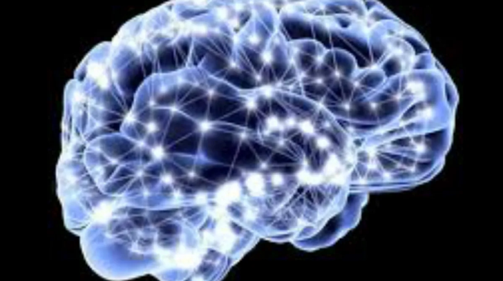 cerebro