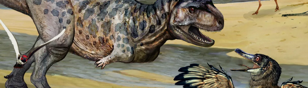 Elemgasem nubilus: cómo era el dinosaurio carnívoro descubierto en Neuquén y por qué es una pieza clave