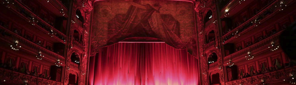 Así fue la gala de Fleni en el Teatro Colón, con Sandra Mihanovich como principal figura