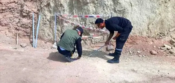 Santa Fe: encontraron restos de un gliptodonte de 10 mil años