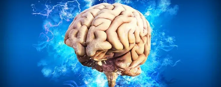 Cerebro: ¿A qué hora somos más inteligentes?