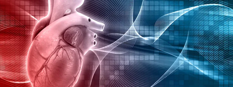 Las 3 herramientas al alcance de todos que permiten reducir el riesgo de enfermedades cardiovasculares