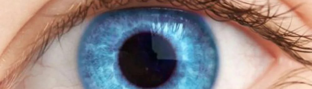 El inesperado descubrimiento que une a todas las personas de ojos azules