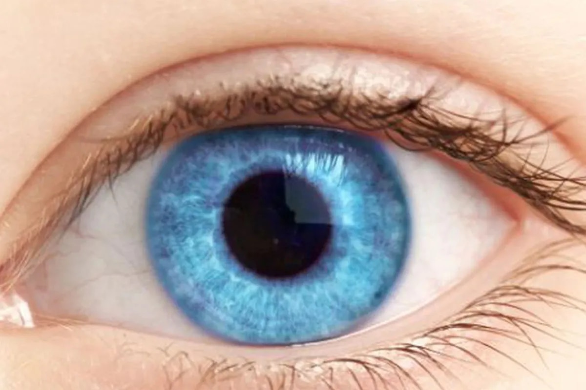 El inesperado descubrimiento que une a todas las personas de ojos azules