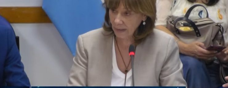 Diputados retomó el debate sobre la situación de los créditos hipotecarios UVA