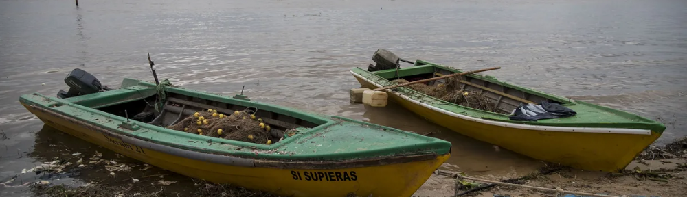 La aparición en el río Paraná de dos ejemplares habituados a aguas heladas sorprende a pescadores y científicos