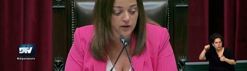 ﻿Diputados aprobó crear un Registro de Deudores Alimentarios y el alivio en Ganancias para los ingresos de médicos cuando superen cuatro guardias mensuales