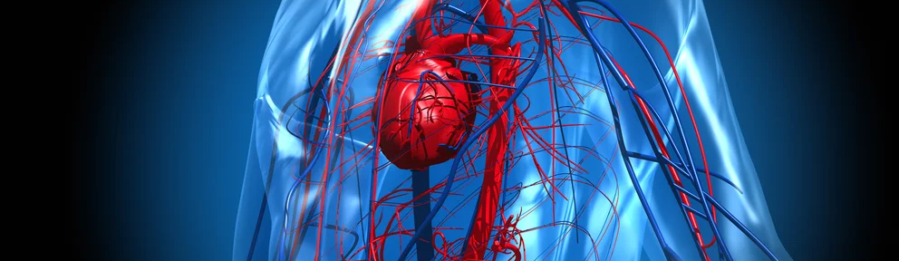 Por qué aumenta el riesgo cardíaco durante las fiestas, según un experto de Harvard