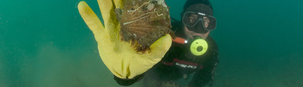 Playa Larralde, el rincón patagónico de insospechada belleza donde viven 15 habitantes y los mariscos son su talismán