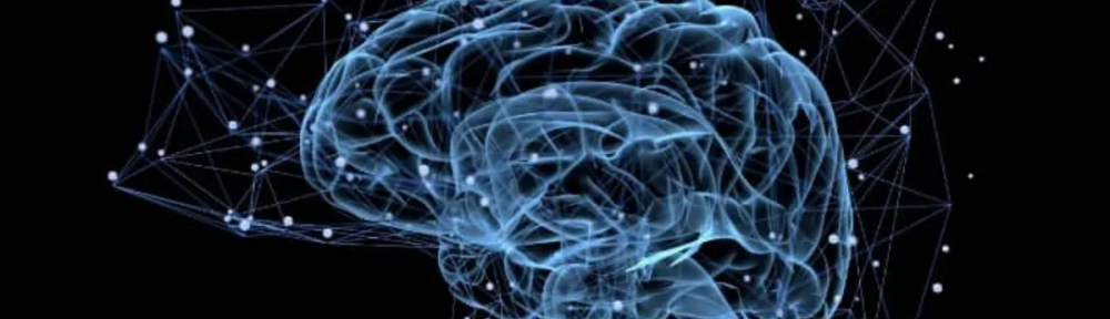 Cerebro: las razones por las cuales algunas personas con “superneuronas” desafían el paso del tiempo