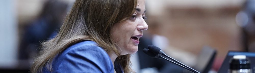 ﻿Cecilia Moreau “es llamativo que la oposición no quiera debatir temas urgentes como moratoria previsional, monotech y Universidades”