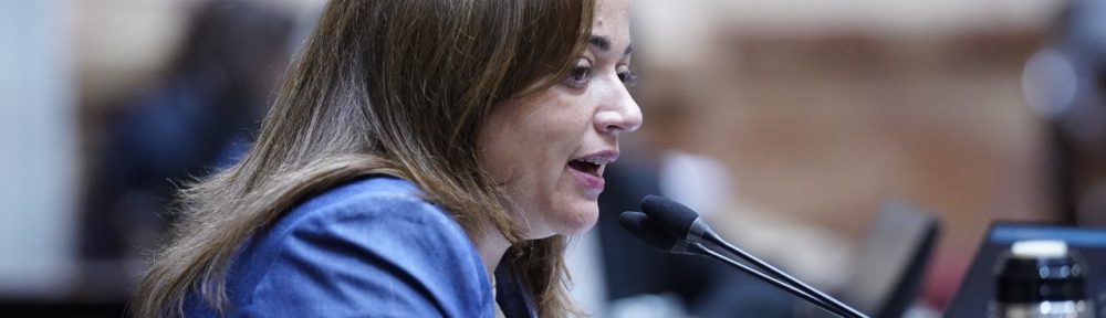 Cecilia Moreau “es llamativo que la oposición no quiera debatir temas urgentes como moratoria previsional, monotech y Universidades”