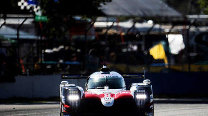Alonso 13[17829]
