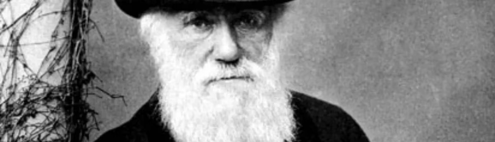 Charles Darwin: quiénes y por qué cancelan las teorías sobre la evolución en el mundo académico