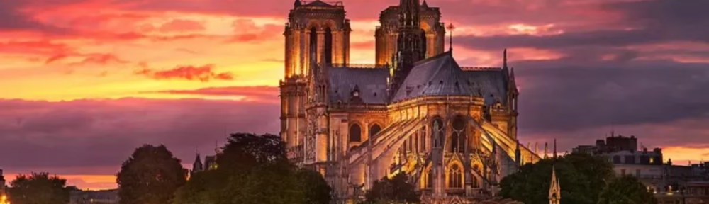 Las avanzadas técnicas medievales que usa París para restaurar la catedral de Notre Dame tras el incendio