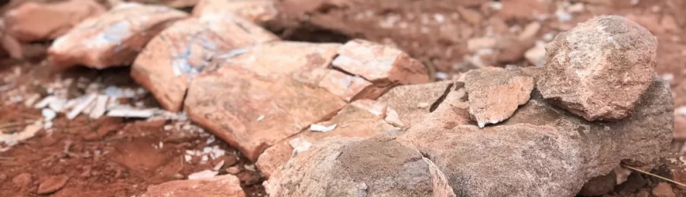 “Dinosaurio titán”: hallaron en Neuquén el fémur de uno de los gigantes del Cretácico