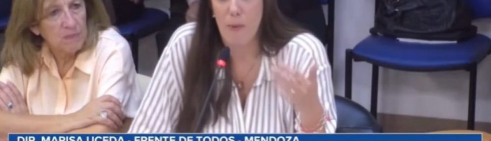 En Plenario de Diputados, se inició el debate sobre Tareas de Cuidado