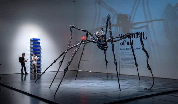 araña
