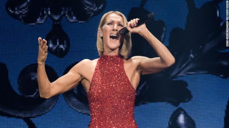 celine-dion-story-