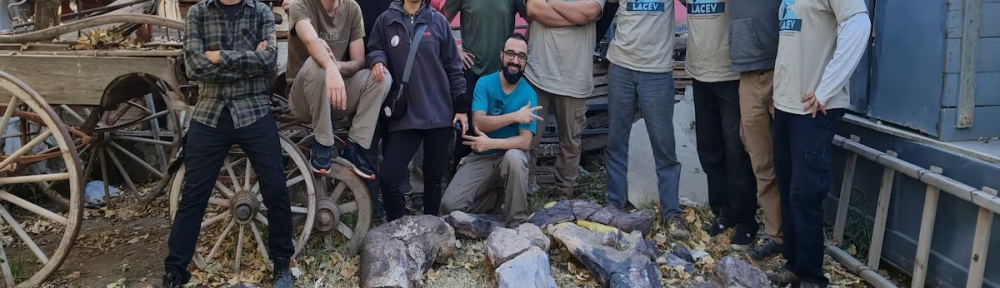 Hallan en Río Negro un nuevo dinosaurio herbívoro gigante con huesos de más de 100 kilos