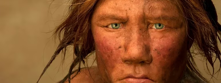 Cómo evolucionó nuestra nariz desde la época de los Neandertales, según un estudio del que participó el Conicet