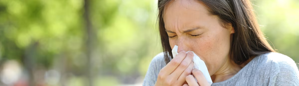 Resfríos y gripe: estos 12 alimentos fortalecen las defensas y mejoran el sistema inmune