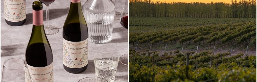 Bodega Del Fin Del Mundo lanza Organic Vineyards, su primera línea orgánica