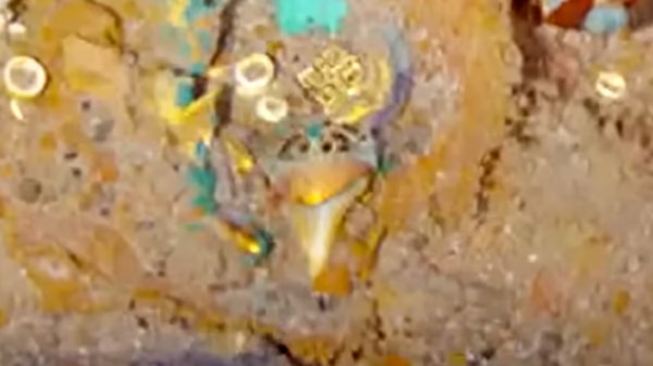 sdgsg