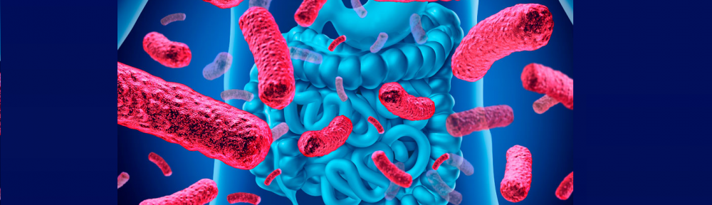 10 aspectos poco conocidos sobre la microbiota intestinal