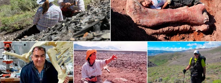 Cuáles son los hallazgos más reveladores de los 5 mejores paleontólogos argentinos de la actualidad