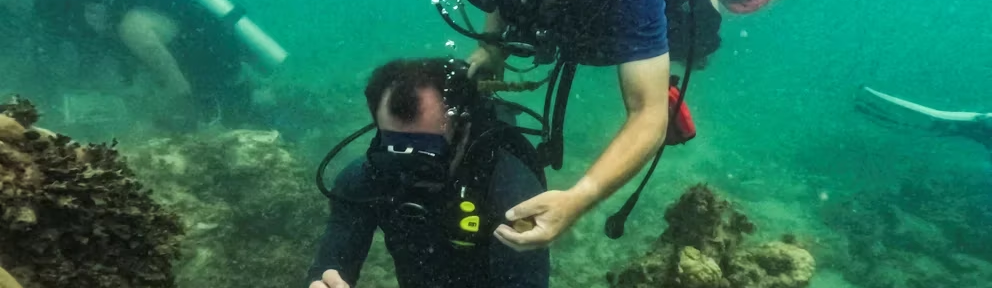 El incremento de la temperatura oceánica provoca la mortalidad de corales en Florida