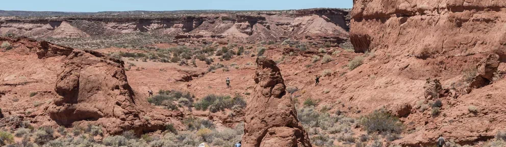 Descubrieron 25 pisadas con señales distintivas de piel de dinosaurios en la Patagonia