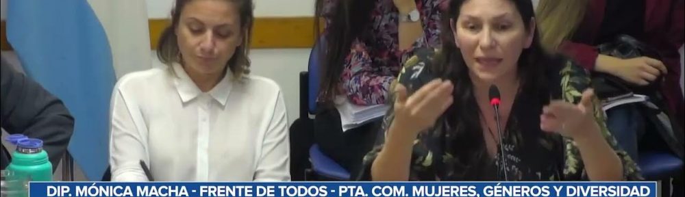﻿Diputados debatieron la ampliación de licencias maternales, paternales y parentales