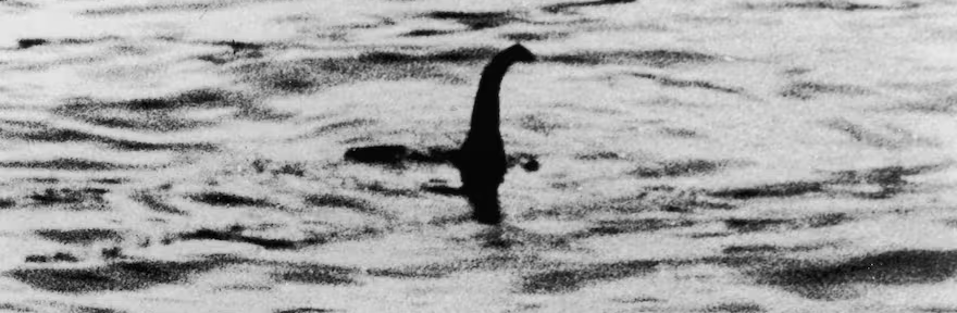 Un estudio arrojó que el Monstruo del Lago Ness podría no ser el animal que todos pensaban