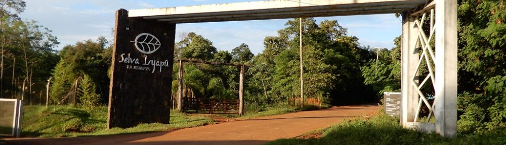 Un Argentino en la Triple Frontera: La Selva Iraypú