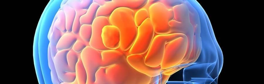 Un estudio argentino logró un promisorio avance en el trasplante de neuronas con células madre contra el Parkinson